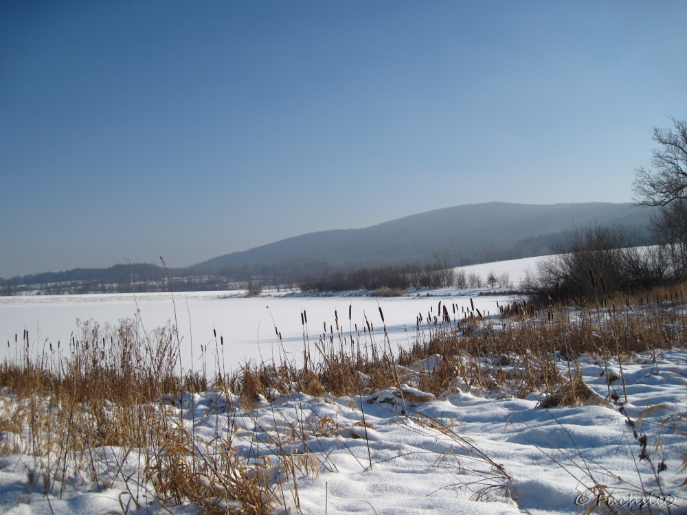 Winterbild