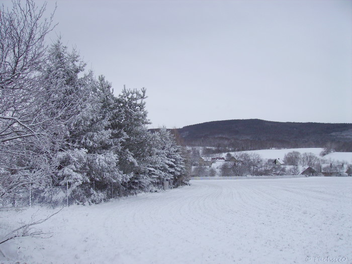 Winterbild