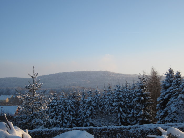 Winterbild
