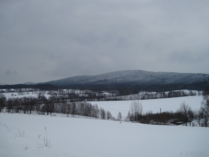 Winterbild