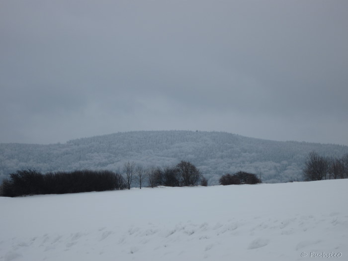 Winterbild