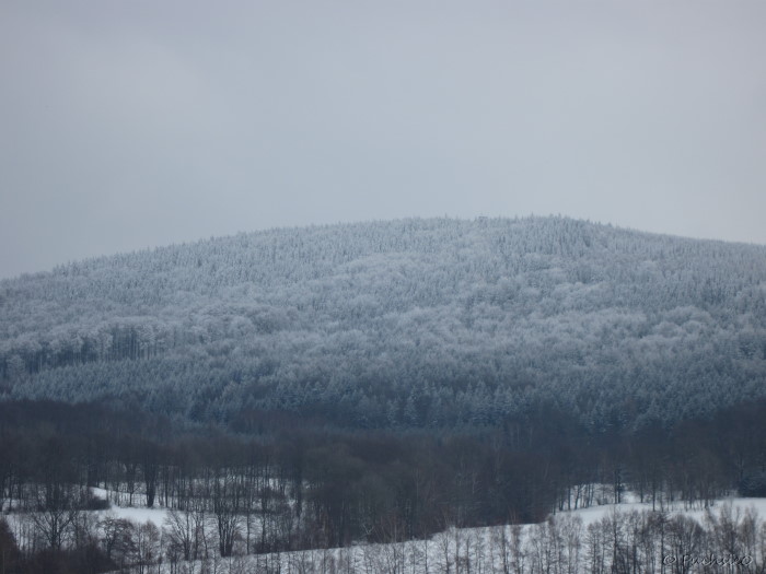 Winterbild
