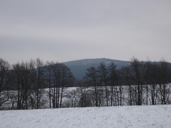 Winterbild