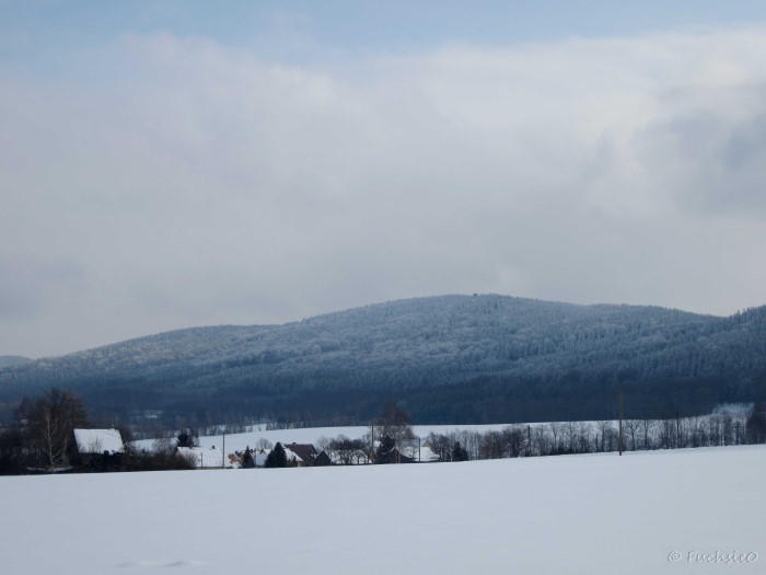 Winterbild