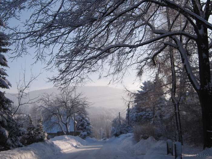 Winterbild