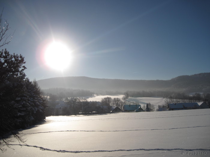 Winterbild