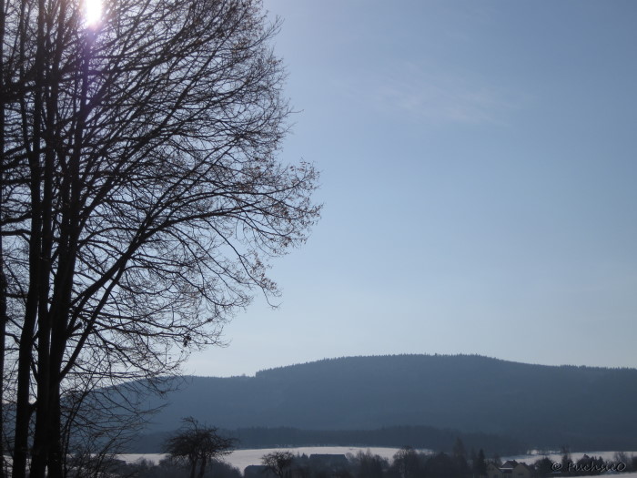 Winterbild