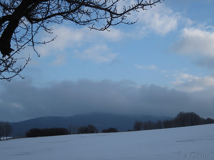 Winterbild