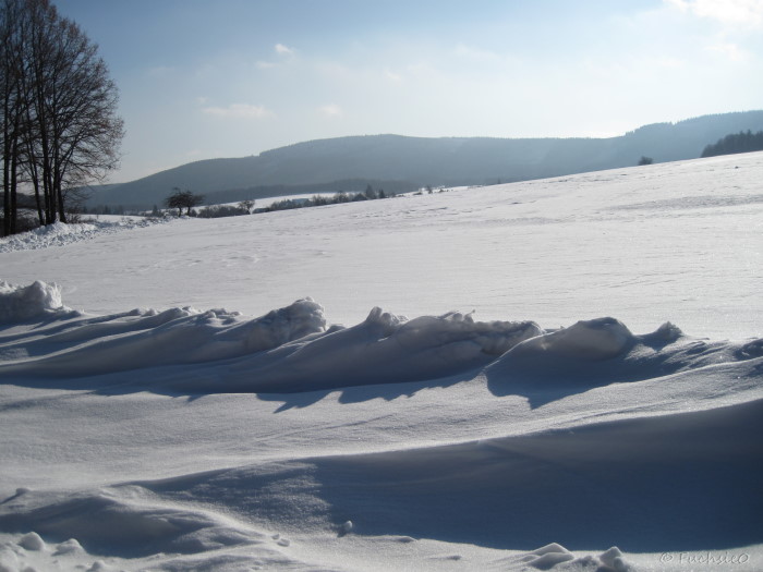 Winterbild