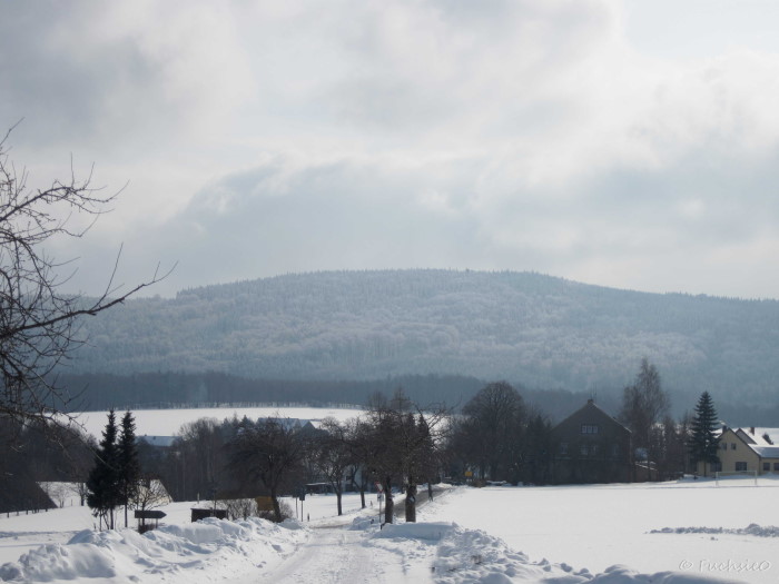 Winterbild
