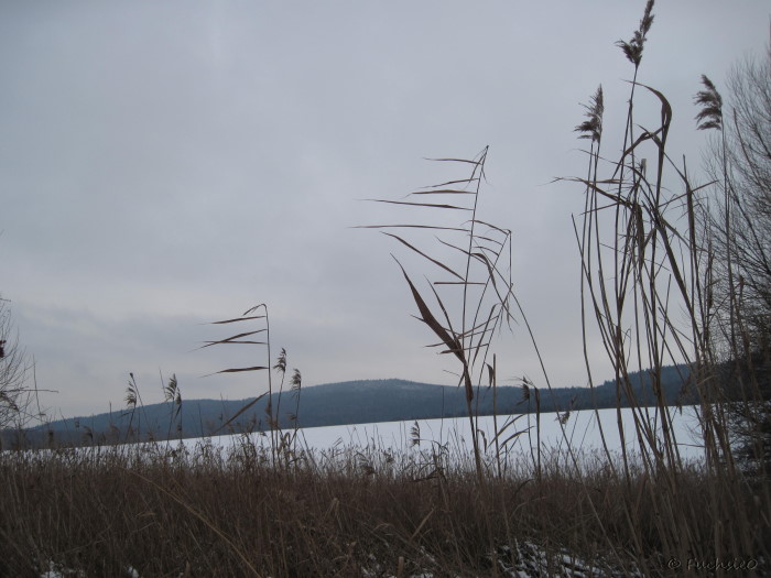 Winterbild
