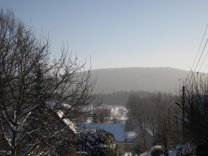 Winterbild