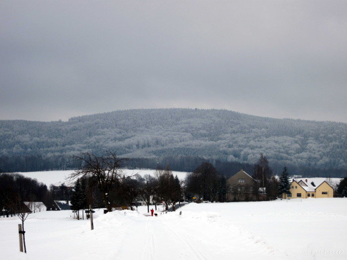 Winterbild