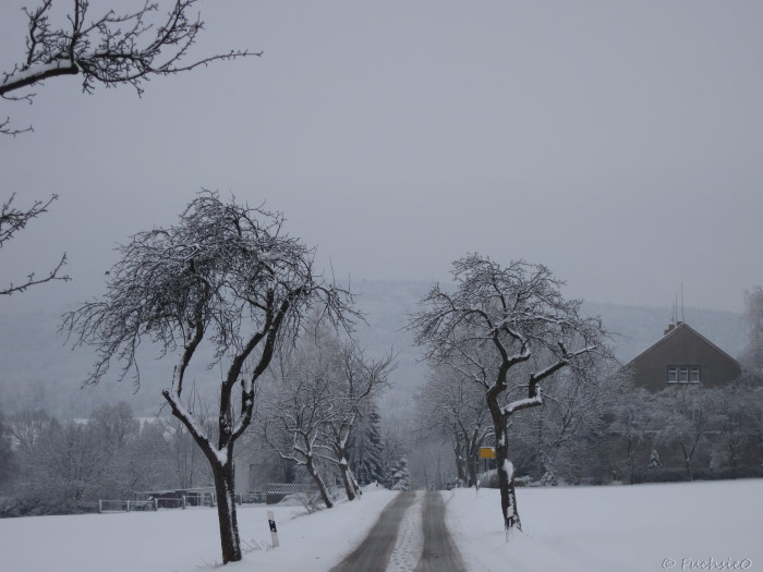 Winterbild