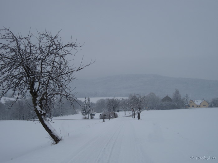 Winterbild