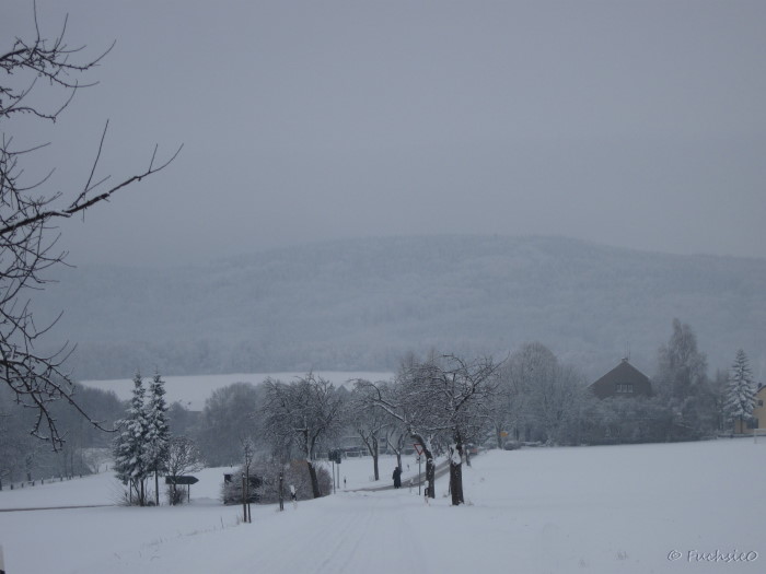 Winterbild