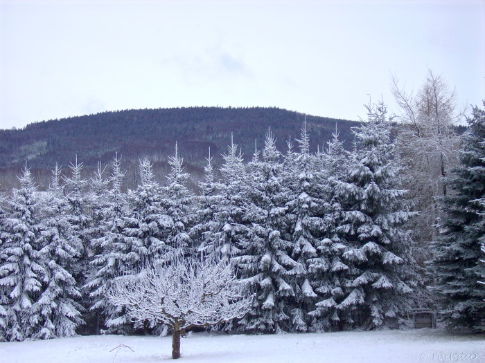 Winterbild